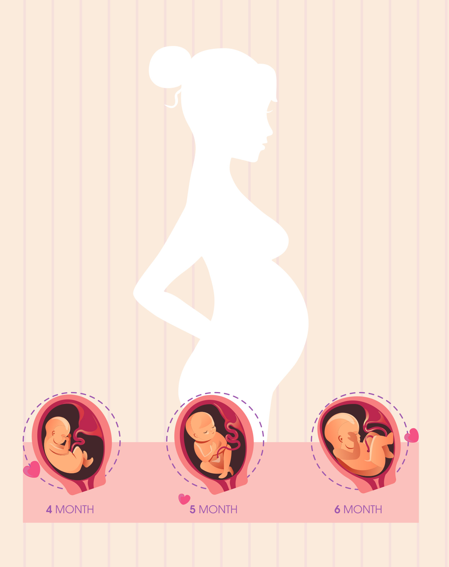 Pregnancy infographic featuring the white silhouette of a woman's body with three inset illustrations detailing fetal development across the first, second, and third months.