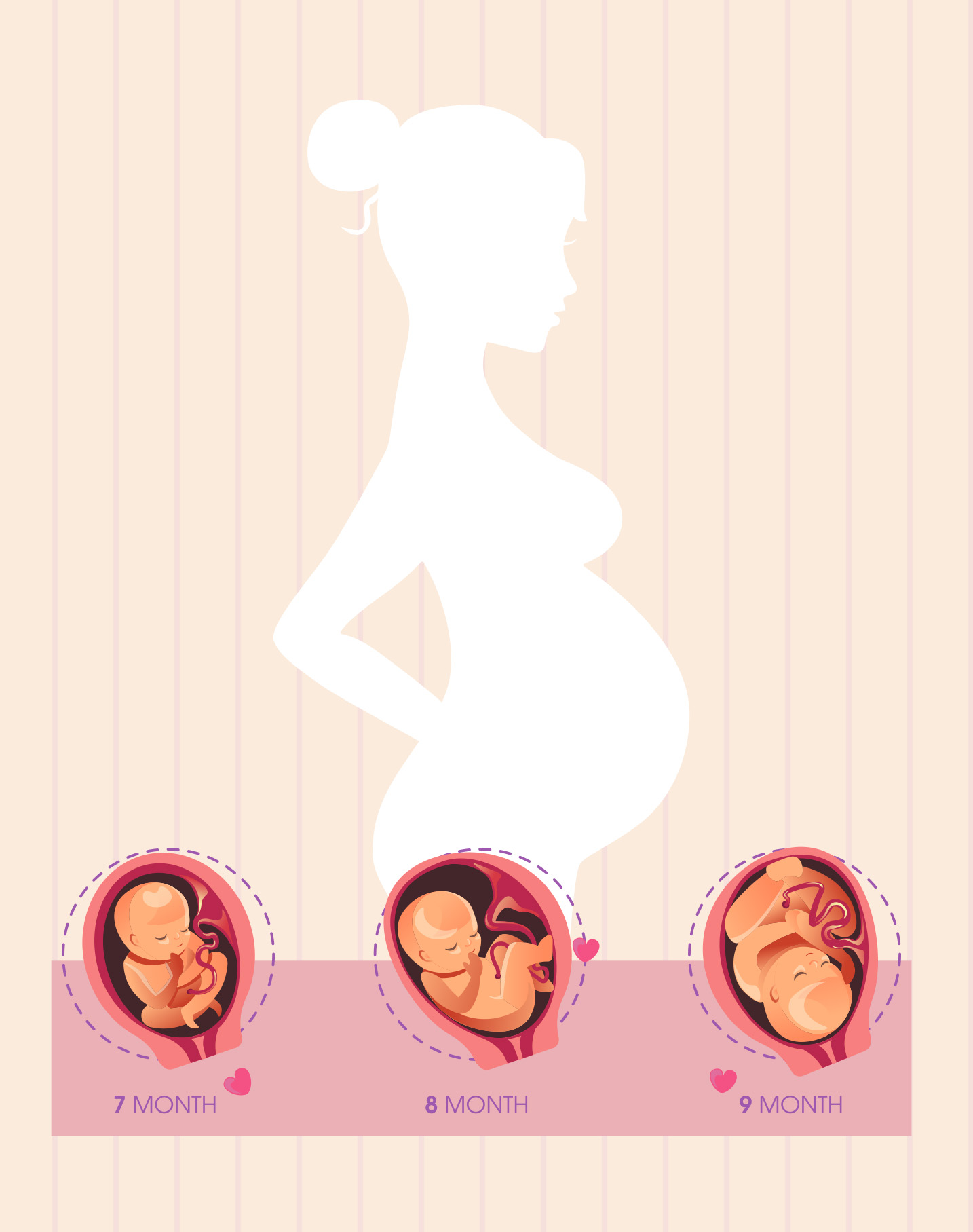 Pregnancy infographic featuring the white silhouette of a woman's body with three inset illustrations detailing fetal development across the first, second, and third months.
