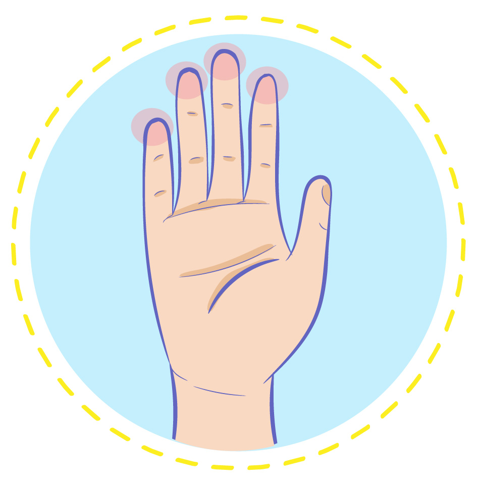 An illustrated diagram inside a dashed yellow circle showing a human hand with pink highlights over the four main fingertips, indicating targeted areas to use for a breast exam.