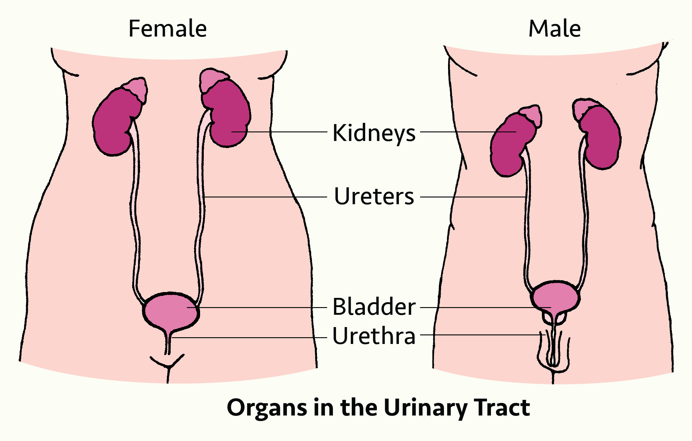 UTIs_Ill-1