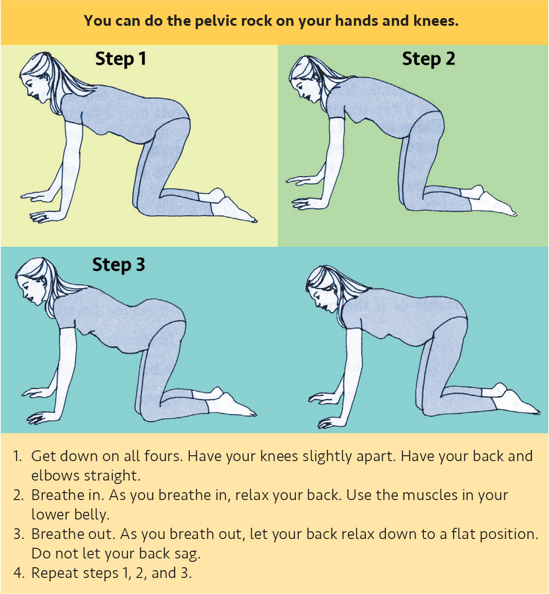 An instructional graphic illustrating three steps to perform a pelvic rock exercise on hands and knees, with corresponding numbered text directions at the bottom.